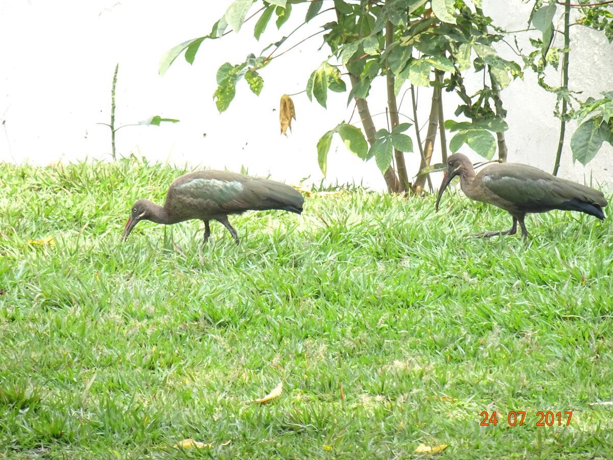 Kivu Beach Garden Gisenyi Exteriér fotografie